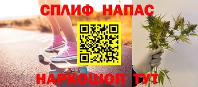 крисы Краснознаменск