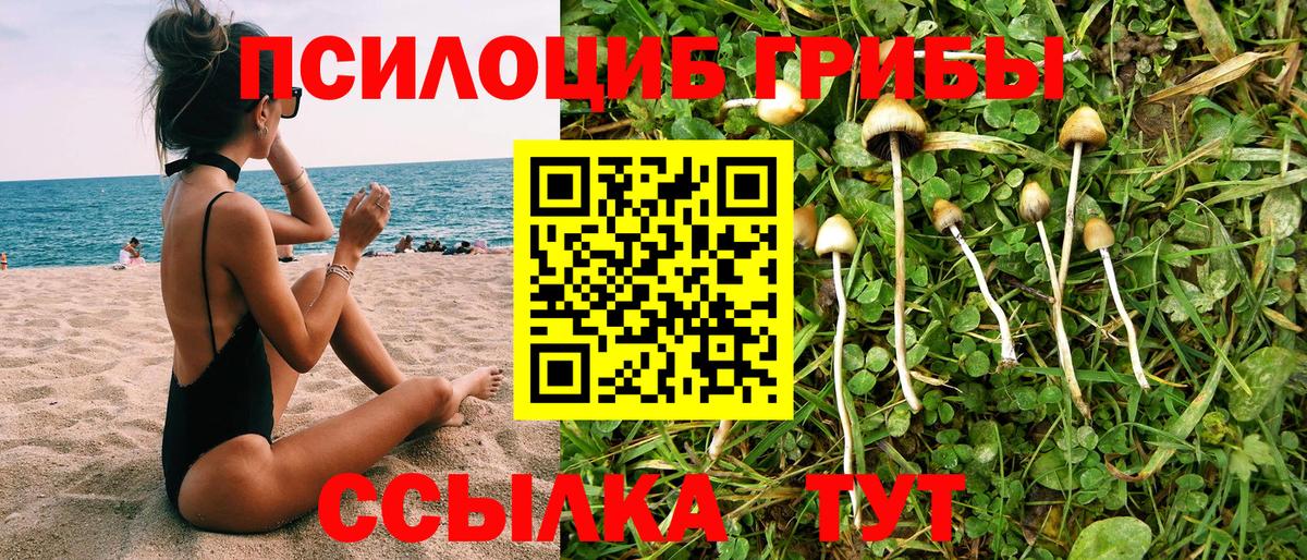 Галлюциногенные грибы MAGIC MUSHROOMS  Галлюциногенные грибы GOLDEN TEACHER  Алейск  Вход с VPN 